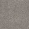 SHAW FLOORS RETAIL: CASHMERE CLASSIC I - Image 15