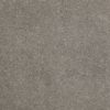 SHAW FLOORS RETAIL: CASHMERE CLASSIC I - Image 16