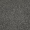 SHAW FLOORS RETAIL: CASHMERE CLASSIC I - Image 22