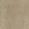 SHAW FLOORS RETAIL: CASHMERE CLASSIC I - Image 39