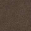 SHAW FLOORS RETAIL: CASHMERE CLASSIC I - Image 40