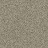 SHAW FLOORS RETAIL: ANGORA CLASSIC II