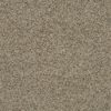 SHAW FLOORS RETAIL: ANGORA CLASSIC II - Image 5