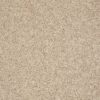 SHAW FLOORS VALUE: GO BIG - Image 9