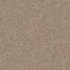 SHAW FLOORS VALUE: GO BIG - Image 5