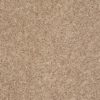 SHAW FLOORS VALUE: GO BIG - Image 10