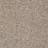 SHAW FLOORS VALUE: GO BIG - Image 6
