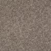 SHAW FLOORS VALUE: GO BIG - Image 2