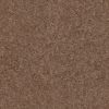 SHAW FLOORS VALUE: GO BIG - Image 8