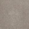 SHAW FLOORS NET: AWESOME 4 - Image 18