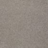 SHAW FLOORS NET: AWESOME 4 - Image 14