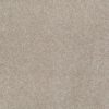 SHAW FLOORS NET: AWESOME 4 - Image 8