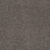 SHAW FLOORS NET: AWESOME 4 - Image 10