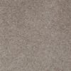 SHAW FLOORS NET: AWESOME 4 - Image 5