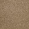 SHAW FLOORS NET: AWESOME 4 - Image 19