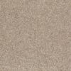 SHAW FLOORS NET: AWESOME 5 (T) - Image 10