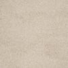 SHAW FLOORS NET: AWESOME 6 (S) - Image 18