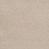 SHAW FLOORS NET: AWESOME 6 (S) - Image 17