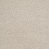 SHAW FLOORS NET: AWESOME 6 (S) - Image 21