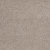 SHAW FLOORS NET: AWESOME 6 (S) - Image 8