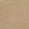 SHAW FLOORS NET: AWESOME 6 (S) - Image 19