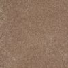 SHAW FLOORS NET: AWESOME 6 (S) - Image 20