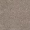SHAW FLOORS NET: AWESOME 6 (S) - Image 24