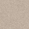 SHAW FLOORS RETAIL: ELEMENTAL MIX III