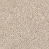 SHAW FLOORS RETAIL: ELEMENTAL MIX III - Image 2