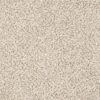 SHAW FLOORS RETAIL: ELEMENTAL MIX III - Image 9