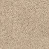 SHAW FLOORS RETAIL: ELEMENTAL MIX III - Image 13