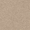 SHAW FLOORS RETAIL: ELEMENTAL MIX III - Image 7