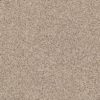 SHAW FLOORS RETAIL: ELEMENTAL MIX III - Image 4