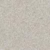SHAW FLOORS RETAIL: ELEMENTAL MIX III - Image 5