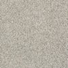SHAW FLOORS RETAIL: ELEMENTAL MIX III - Image 8