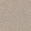 SHAW FLOORS RETAIL: ELEMENTAL MIX III - Image 14
