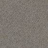 SHAW FLOORS RETAIL: ELEMENTAL MIX III - Image 15