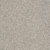 SHAW FLOORS RETAIL: ELEMENTAL MIX III - Image 11