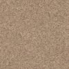SHAW FLOORS RETAIL: ELEMENTAL MIX III - Image 6