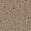 SHAW FLOORS RETAIL: ELEMENTAL MIX III - Image 3