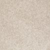 SHAW FLOORS VALUE: DAKOTA SPRINGS - Image 4