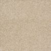 SHAW FLOORS VALUE: DAKOTA SPRINGS - Image 12