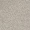 SHAW FLOORS VALUE: DAKOTA SPRINGS - Image 5