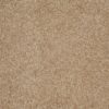 SHAW FLOORS VALUE: DAKOTA SPRINGS - Image 14