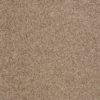 SHAW FLOORS VALUE: DAKOTA SPRINGS - Image 16
