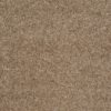 SHAW FLOORS VALUE: DAKOTA SPRINGS - Image 21