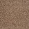 SHAW FLOORS VALUE: DAKOTA SPRINGS - Image 22