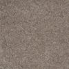 SHAW FLOORS VALUE: DAKOTA SPRINGS - Image 19