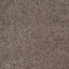 SHAW FLOORS VALUE: DAKOTA SPRINGS - Image 20