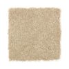 Mohawk Residential: Elegant Appeal III - Image 19